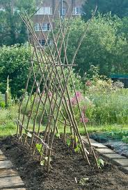 Check spelling or type a new query. 11 Runner Bean Support Inspiration Ideas Veggie Garden Vegetable Garden Veg Garden