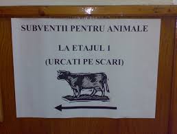 Check spelling or type a new query. Bani Europeni Pentru CrescÄtorii De Animale Èi Cultivatorii De Legume AfectaÈi De Criza Covid 19 Monitorul De Vrancea