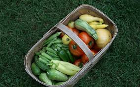 Enjoy by adding dehydrated summer squash to soups and sauces to thicken. Harvesting Vegetables Home Garden Information Center