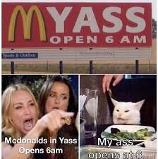 The Best Smudge The Cat Memes Memedroid
