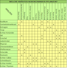 Welche Krauter Nebeneinander Pflanzen Krauter Pflanzen Garten Garten Pflanzen