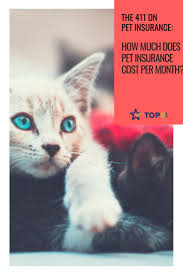 Pin On Animal Cuteness