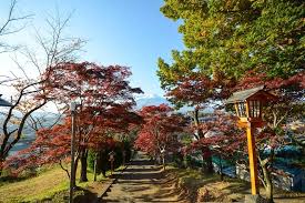 Autumn Color Reports 2019 Mount Fuji Approaching Peak