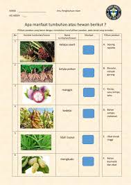 Lembaran kerja makanan berkhasiat dan tidak berkhasiat prasekolah these pictures of this page are about:lembaran kerja makanan prasekolah sk ulu kakus: Worksheet Tanaman Obat Info Kece