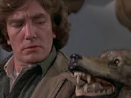 Resultado de imagen de wolfen 1981