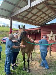 We have a new family in our precious...