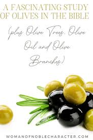 A Fascinating Study Of Olives In The Bible Plus Olive Trees Olive Oil And Olive Branches Bible What Is Olive Oil Olive Branch