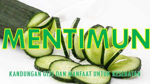 Biasanya orang ingin menikmati manfaat bawang putih goreng yang ditabur di atas makanan sekaligus merasakan sensasi kelezatannya. 11 Manfaat Mentimun Untuk Kesehatan Dan Cara Memilihnya