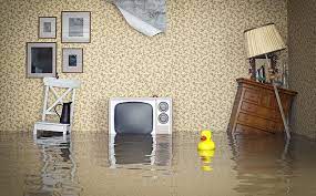 Homeadvisor's water damage repair and restoration cost guide delivers average price estimates for water damage. Cleaning Up A Flood In The Basement Everdry Toledo