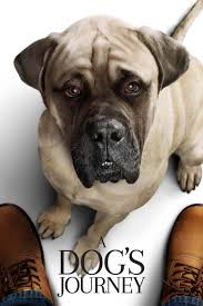 A Dog S Journey Full Movie 2019 Hd Online Free Adogsjourneyhd Twitter