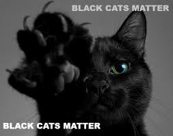 In july 2015, black lives matter demonstrators disrupted a town hall with democratic presidential candidate bernie sanders and governor of. Black Cats Matter Black Cats Matter Cats Meme On Me Me