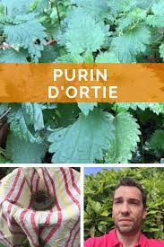 Epingle Sur Tomates Planter Des Tomates