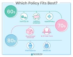 The life insurance companies can offer you the best life insurance policy at the lowest rates possible. Best Life Insurance For Seniors In 2020 Top 5 Companies Termlife2go