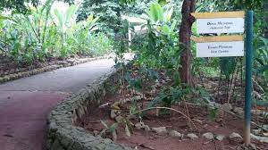 Weekend seminggu lepas kakak ajak mak aku gi servey ite untuk explorace event. Taman Botani Putrajaya Mohd Faiz Bin Abdul Manan