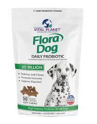 Vital Planet Flora Dog Soft Chews Natural Probiotic Support For Immunity And Digestion 30 Chews Natural Probiotics Probiotics