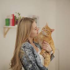 あなたの猫は抱っこ好き 猫に好かれるオススメの抱き方５つ