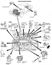 It was produced using the latest techniques and strict quality 2004 nissan maxima. Diagram Of 1986 Nissan Maxima 3 0 Engine Wiring Diagram Rob Note B Rob Note B Agriturismoduemadonne It