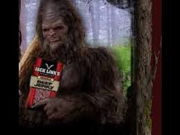 5 New Funny Bigfoot Commercials 2015 Youtube