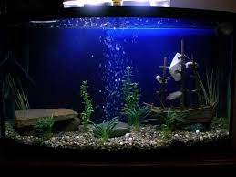 Look at these aquarium decoration themes. Decoration How To Create Aquarium Decoration Themes Cute Aquarium Decoration Themes Fish Tank Decorations Aquarium Decorations Theme Aquarium Decorations
