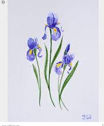 Blue Iris Iris Tattoo Iris Flower Tattoo Iris Drawing