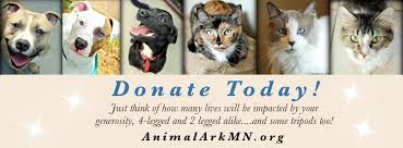 Most feral cats are considered unadoptable and therefore killed by some conventional shelters. Pets For Adoption At Animal Ark In Hastings Mn Petfinder