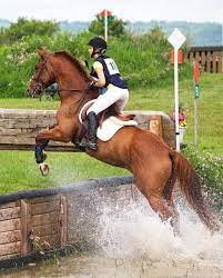Horses jump cross country fences naturally, it's not foreign to them. Water Jump At Willow Wind Eventing Horses Eventing Cross Country Horses