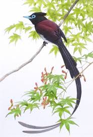 サンコウチョウ（個人依頼） | TORINOE