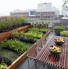 Designer Diary March 2010 Rooftop Garden Rooftop Terrace Design Roof Garden