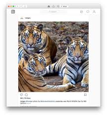 Whilst this is a simple and free deskgram is a desktop app that lets you post to instagram from pc or mac, as well as browsing, commenting, and liking posts as you would on the mobile app. The Best Instagram App For Macos Mac How To