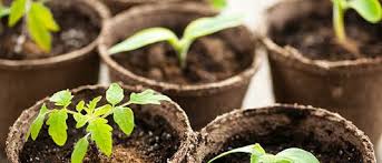 Tgs indonesia (tgs au partners) is an independent member of tgs global. Sayenko Kharenko Redcliffe Partners And Tgs Baltic Provide Ukrainian And Latvian Advice On Greenyard Sale Of Of Horticulture Business To Straco