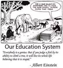 Every fiat/tether holder is a genius in a bear market. Everyone Is A Genius But If You Judge A Fish On Its Ability To Climb A Tree It Will Live Its Whole Life Believing That It Is Stupid Albert Einstein 1