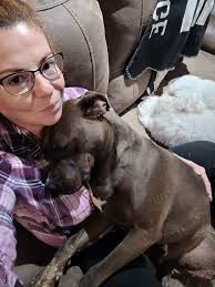 Lost dog found in Pinehurst neighborhood in Mobile