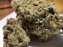 Super Lemon Haze Review – Canna Dave