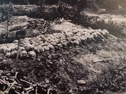 Image result for cambodia history killing fields