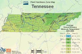 usda map of plant hardiness zone in tennessee