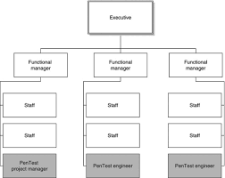 matrix organization an overview sciencedirect topics