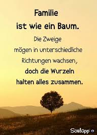 Tja Wenn Das Nur Immer So Ware Manch Einer Kann Auch Alles Kaputt Machen Spruche Spruche Zitate Weisheiten Spruche
