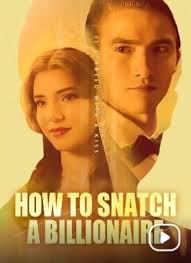 How to Snatch a Billionaire (TV Mini Series 2024)