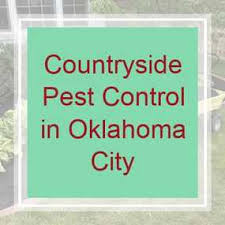 Webworm, outdoor pest and grub worm treatments, weed control, fertilization, core aeration, pest & mosquito control. 25 Best Lawn Care Mowing Services In Oklahoma City Ok