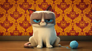 Grumpy Cat Wallpapers Wallpaper Cave