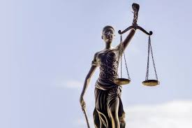 Image result for Justicia engleriana