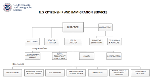 Uscis Organizational Chart Uscis