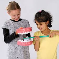 Image result for ochrana chrupu