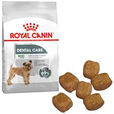Royal Canin Mini Dental Care Kopek Mamasi 3 Kg