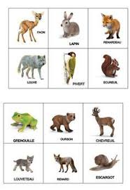 Epingle Sur Animaux Foret