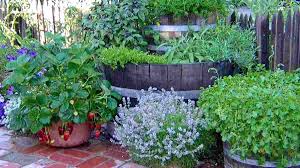 Desain Taman Toga Minimalis Yang Nyaman Dilihat Dan Kaya Manfaat Harapan Rakyat Online