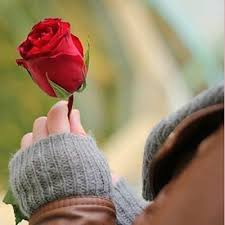 ورد الفلانتاين الجميل in 2021 arm warmers flower images fingerless