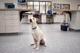 Pet emergency clinic near me. Veterinary Emergency Clinic Opens In Oakland West Orange Times Observer West Orange Times Windermere Observer