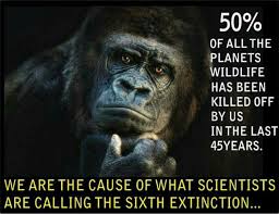This Has To Stop We Re Executing Wild Animals Because We Ve Encroached On Their Territory And They Wander Into Our Space Th Save Earth Save Our Earth Words