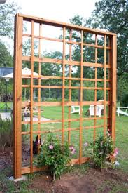 If you are not satisfied with the option backyard trellis ideas, you can find other solutions on our website. 21 Best Diy Trellis Ideas For The Gardener In You Crazy Laura